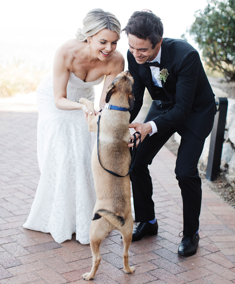 Celebrity Wedding Inspirations 2017 - Ali Fedotowsky Dog